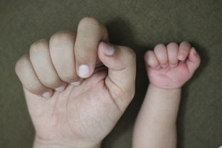 3岁宝宝龋齿疼得睡不着能拔牙吗? 3岁宝宝龋齿疼得睡不着能拔牙吗?